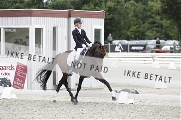 166078_rhj_01__J7R2989.JPG