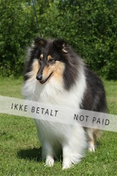 130370_se_02_IMG_5850.JPG