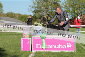 134871_ms_03_IMG_0400.JPG