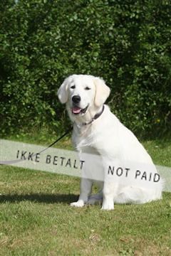 130370_se_03_IMG_6922.JPG