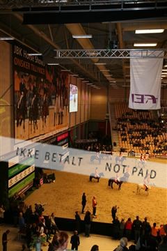 5471_jbr _04_IMG_6510.JPG