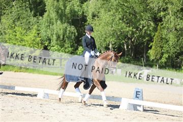 168732_mtp_01_3M5A6201.JPG