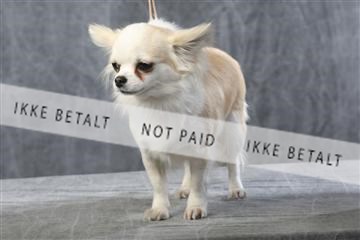 129608_le_ 01_0578.JPG