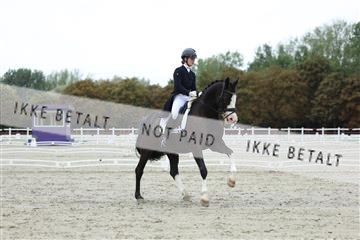 181923_mtp_01_R62_6763.JPG