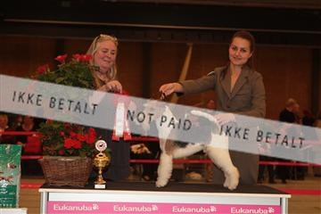 124188 _tl_02_IMG_9527.JPG