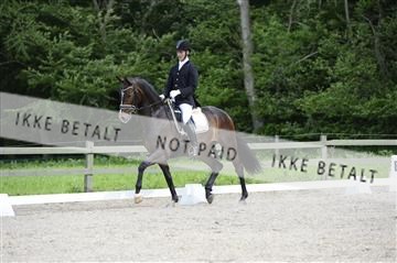 139898_ms_01__MS28421.JPG