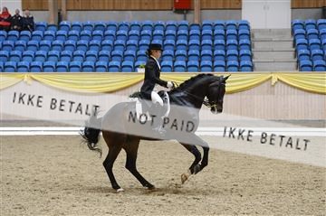 139403_ms_01__MS18565.JPG