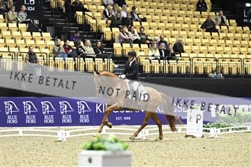 182194_kbb_03_Z090734.JPG