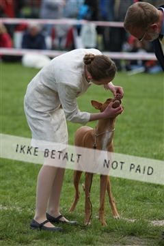 134871_ms_04_IMG_0200.JPG