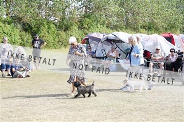 181848_kar_01__62_2158.JPG