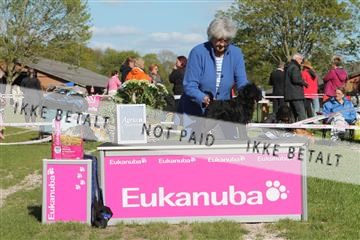 134871_ms_03_IMG_0300.JPG