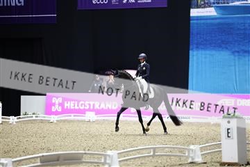 182194_avh_07_4405.JPG