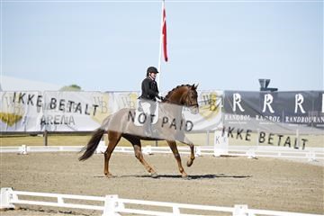 181449_kbb_01_6II9689.JPG