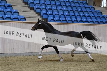 139327_abo_01__AB10273.JPG