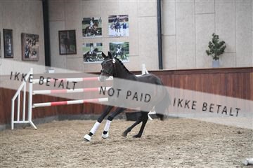 165985_kuo_01_D05_1691.JPG