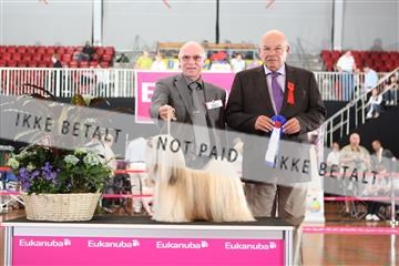 6068_ma_07_IMG_6814.JPG