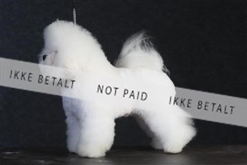 132082_le_ 01_IMG_0194.JPG