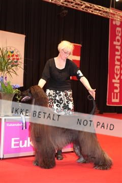 126827_tl_04_IMG_0116.JPG