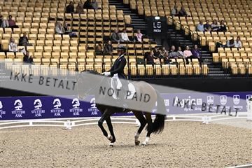 182194_kbb_03_Z099740.JPG