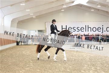174363_kbb_01_R6II7992.JPG