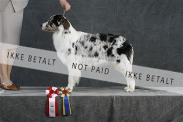 5493_sme _02__MG_9748.JPG