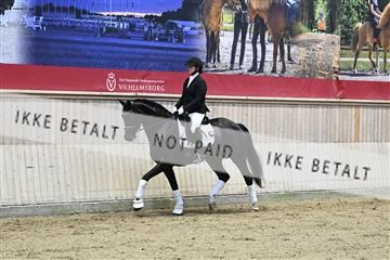 182241_kbb_01_Z093146.JPG