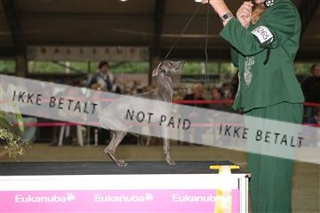 126168_se_02_IMG_0574.JPG