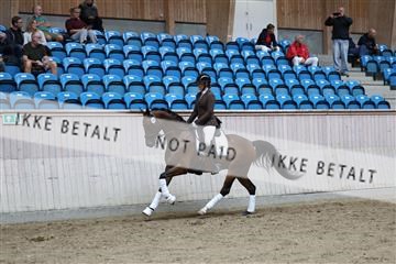 181887_mtp_02_R62_7918.JPG