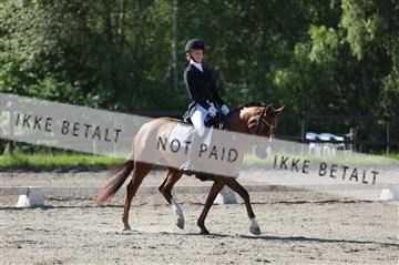 168732_mtp_01_3M5A5922.JPG