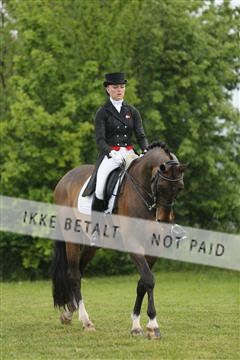 139835_sg_02_IMG_8631.JPG