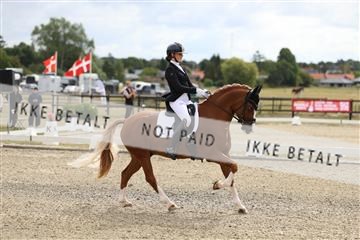 181894_mtp_02_R62_1111.JPG