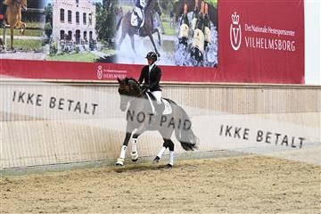 182241_kbb_01_Z093207.JPG
