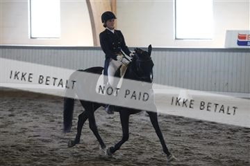139267_kl_1_8M1Q6873.JPG