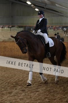 139206_kl_1_8M1Q5286.JPG