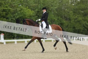 139835_sg_02_IMG_8503.JPG