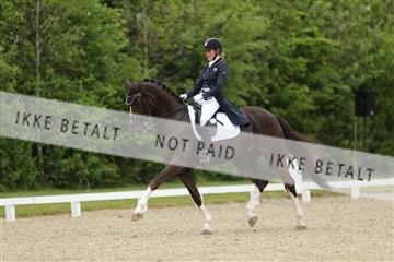 139835_sg_01_IMG_7991.JPG