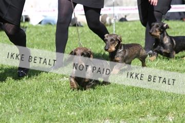 134871_ms_02_IMG_3283.JPG