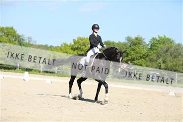 168732_mtp_01_3M5A8312.JPG