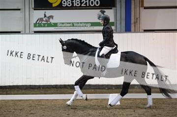 141472_abo_01__AB15747.JPG