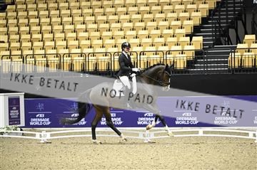 182194_kbb_02_Z098184.JPG