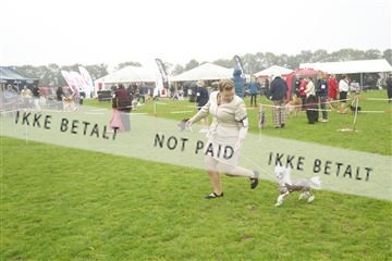182009_kar_01__62_5815.JPG