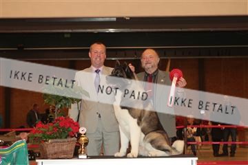 124188 _tl_02_IMG_9327.JPG