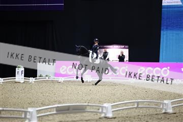 182194_avh_07_3959.JPG
