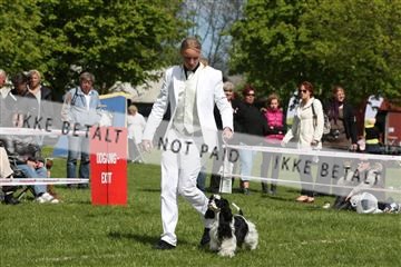 134871_ms_04_IMG_0299.JPG