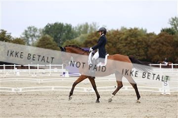 181923_mtp_01_R62_6478.JPG
