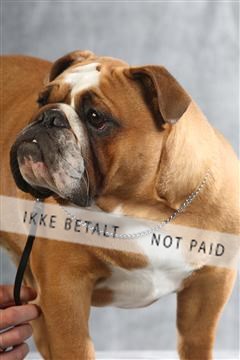 129608_le_ 02_0347.JPG