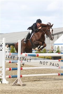 5350_sme _01_IMG_4442.JPG