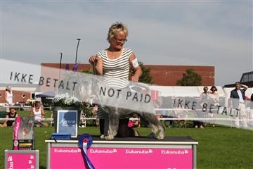 130370_se_02_IMG_6551.JPG