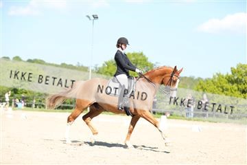 168732_mtp_01_3M5A8086.JPG