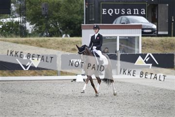 166078_rhj_01__J7R4176.JPG